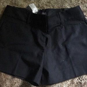 The Limited shorts